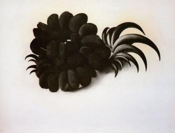 喬治亞 奧基夫 Eagle Claw and Bean Necklace 喬治亞 奧基夫 Eagle Claw and Bean Necklace
